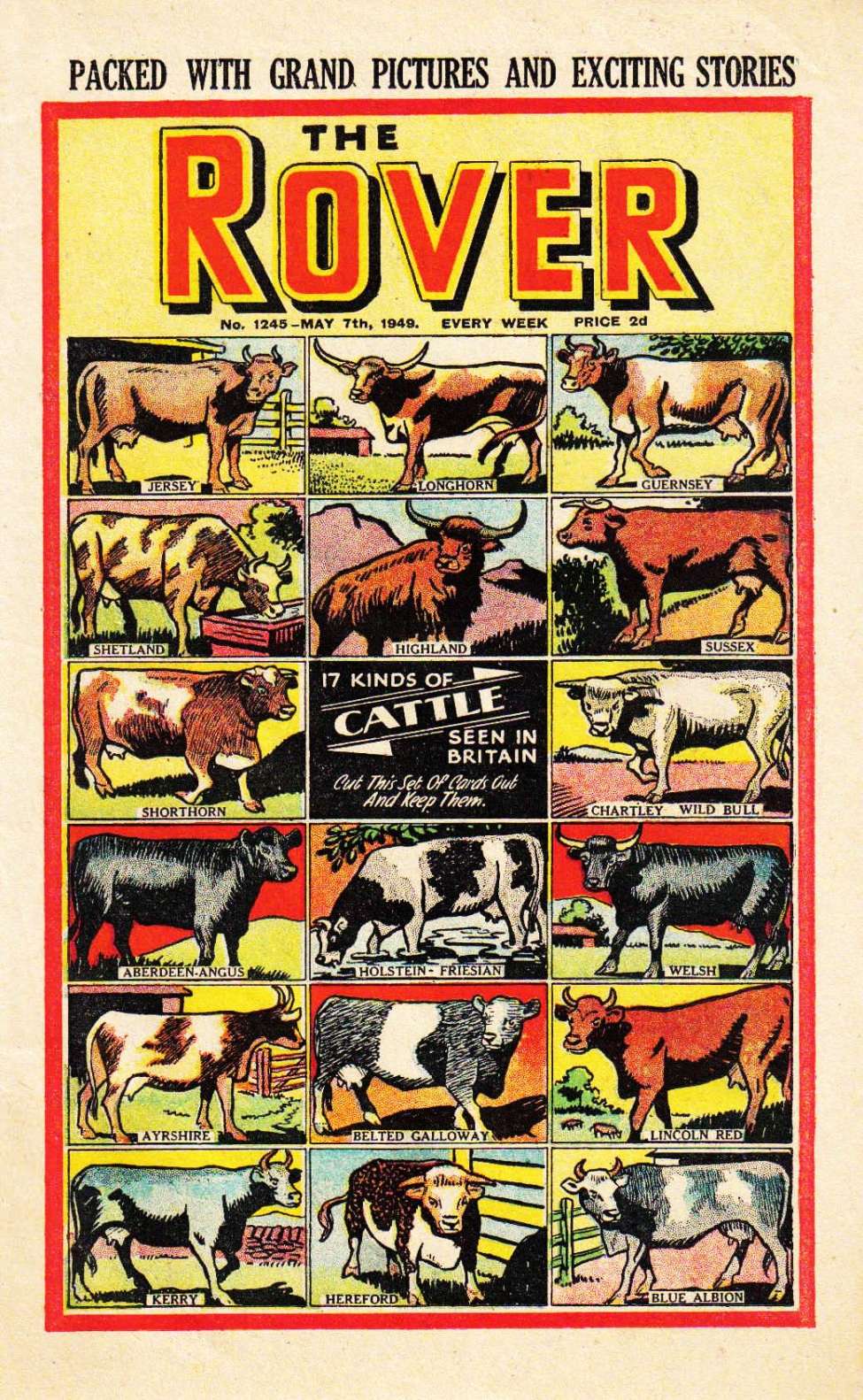 Book Cover For The Rover 1245