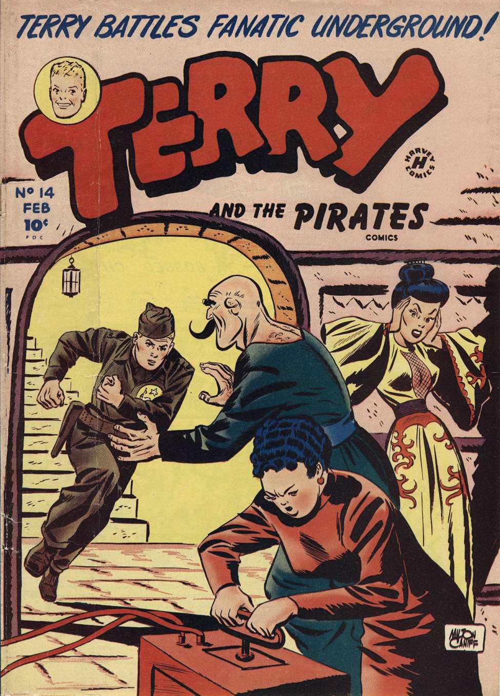 Book Cover For Terry and the Pirates 14
