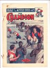 Cover For The Champion 1325