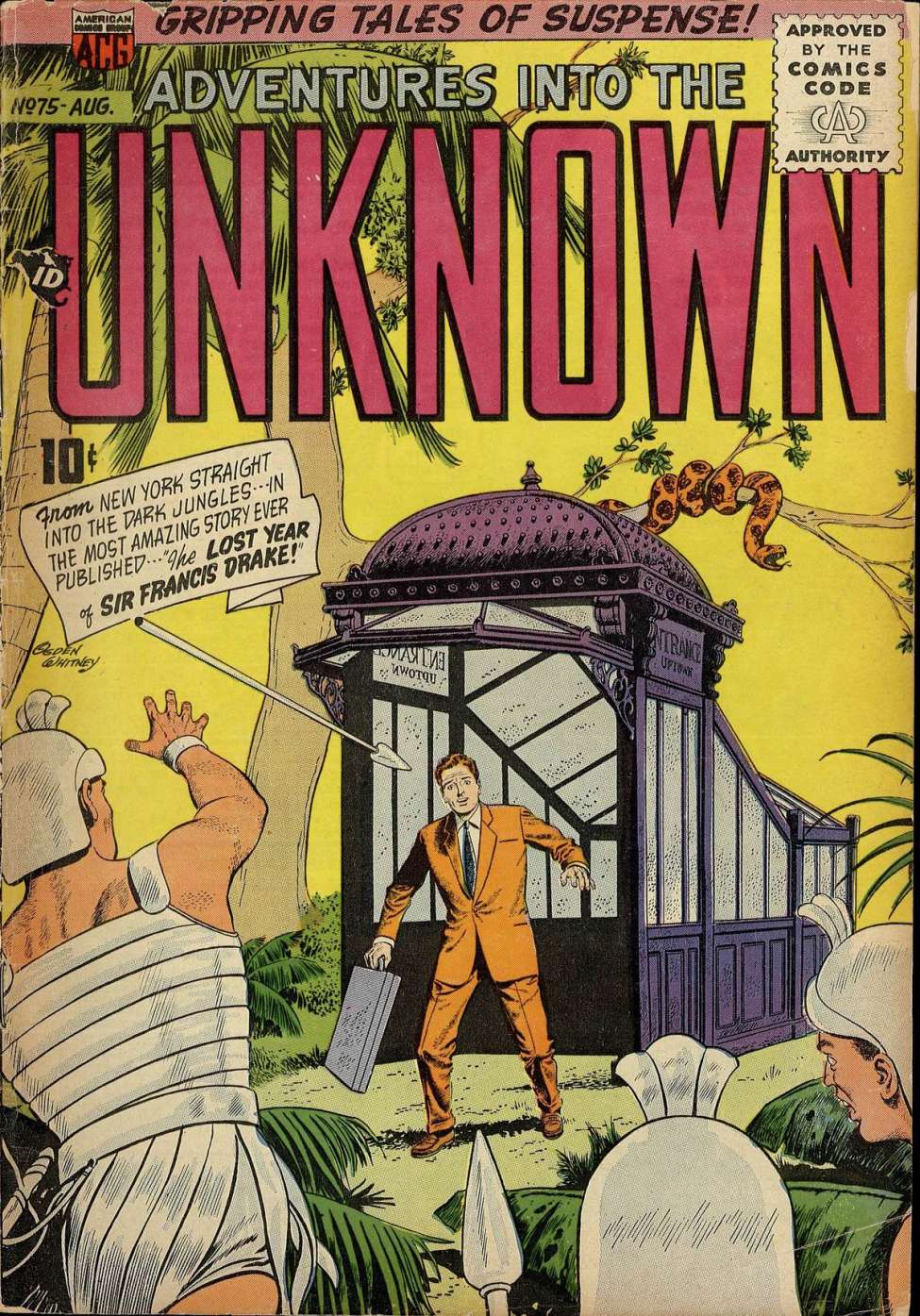 Book Cover For Adventures into the Unknown 75