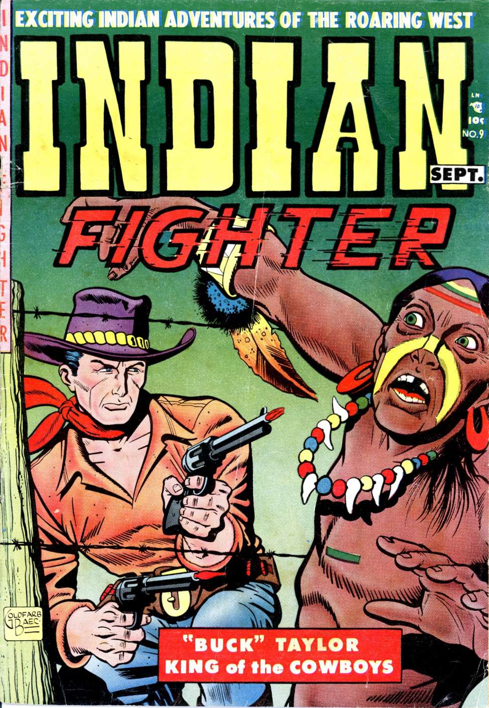 Book Cover For Indian Fighter 9