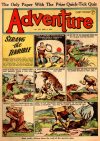 Cover For Adventure 1311