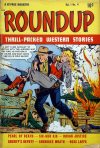 Cover For Roundup 4