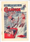 Cover For The Champion 1321