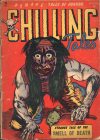 Cover For Chilling Tales 14