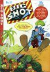 Cover For Big Shot 51