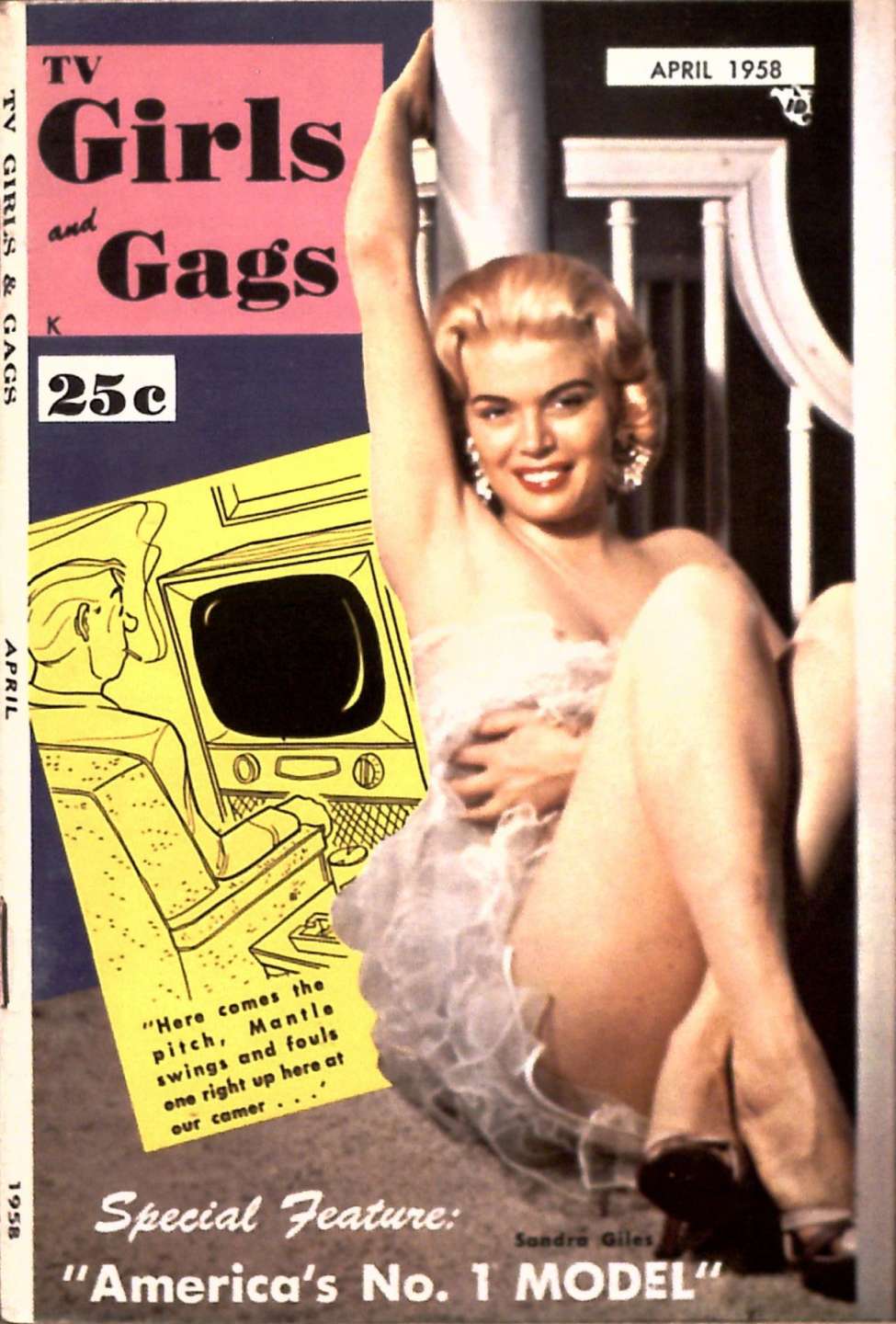 Book Cover For TV Girls and Gags v5 1