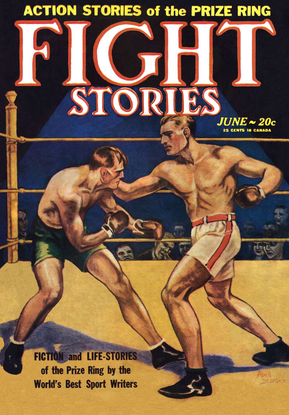 Comic Book Cover For Fight Stories v1 1