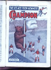 Large Thumbnail For The Champion 1396