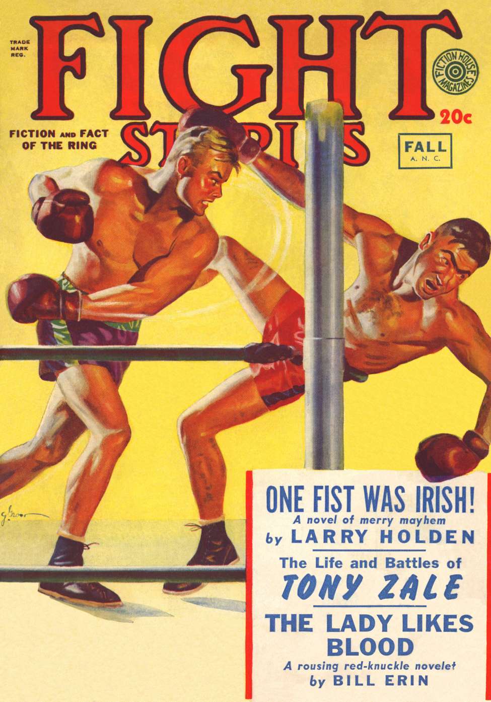 Comic Book Cover For Fight Stories v9 6