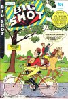 Cover For Big Shot 58