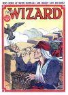 Cover For The Wizard 797