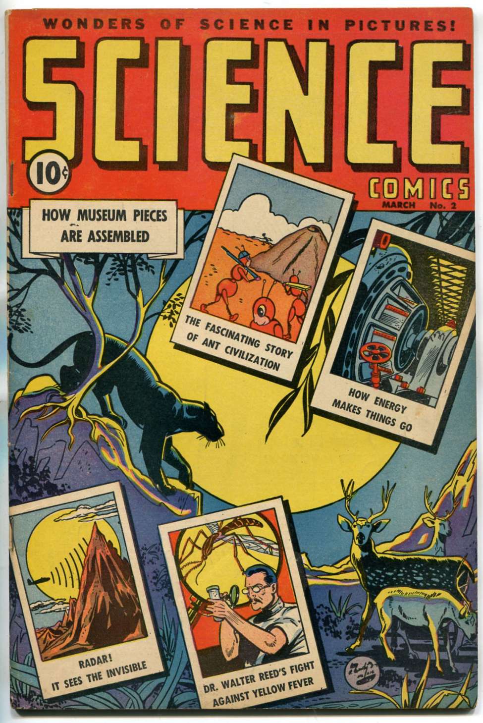 Book Cover For Science Comics 2