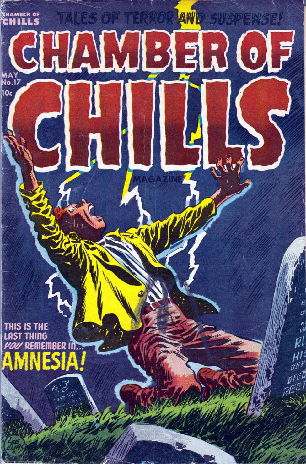 Comic Book Cover For Chamber of Chills 17