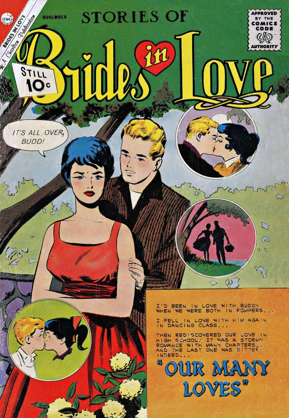 Comic Book Cover For Brides in Love 27