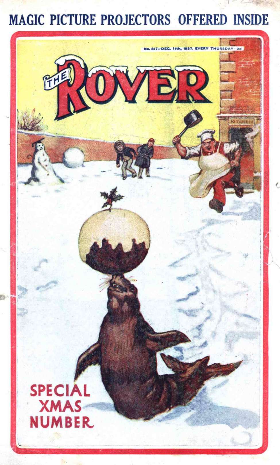 Book Cover For The Rover 817