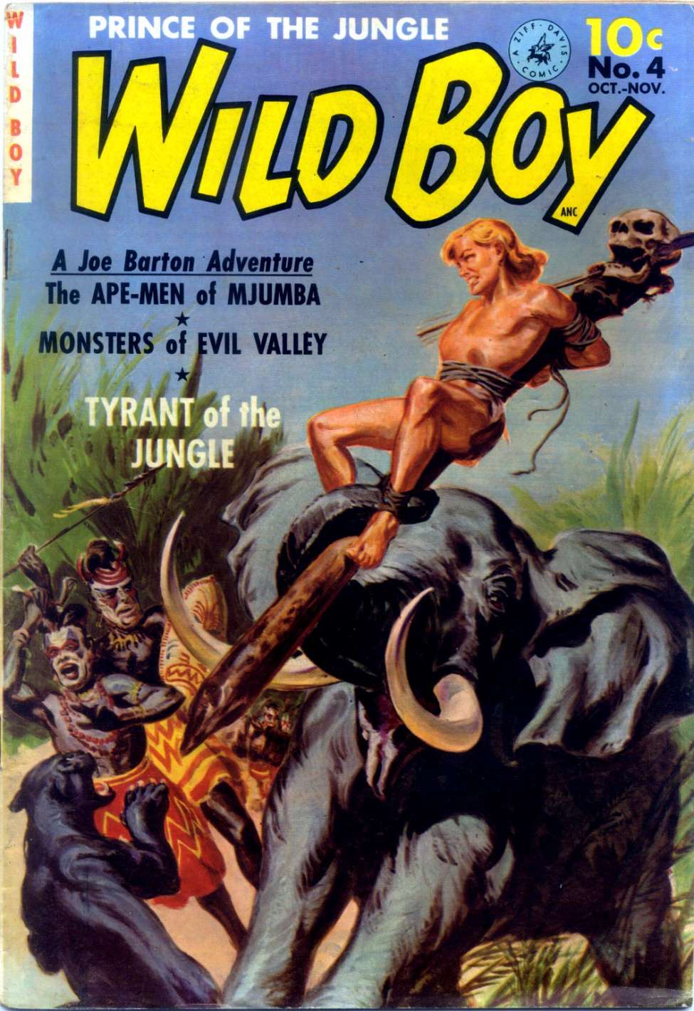 Book Cover For Wild Boy 4