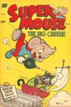 Cover For Supermouse 21