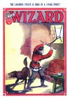 Cover For The Wizard 591