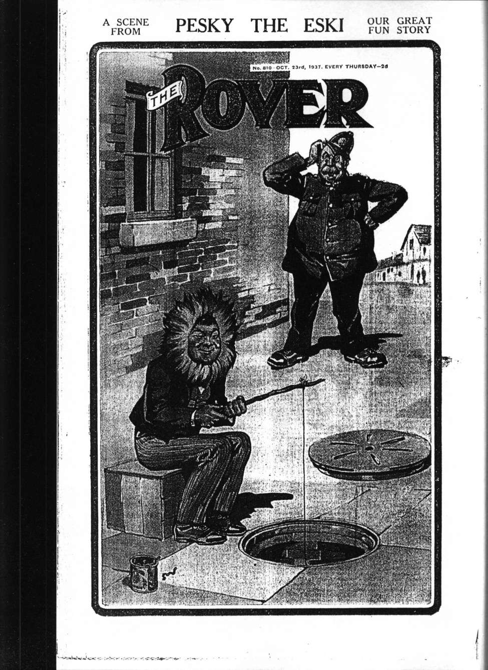 Book Cover For The Rover 810