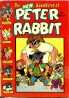 Cover For Peter Rabbit 11