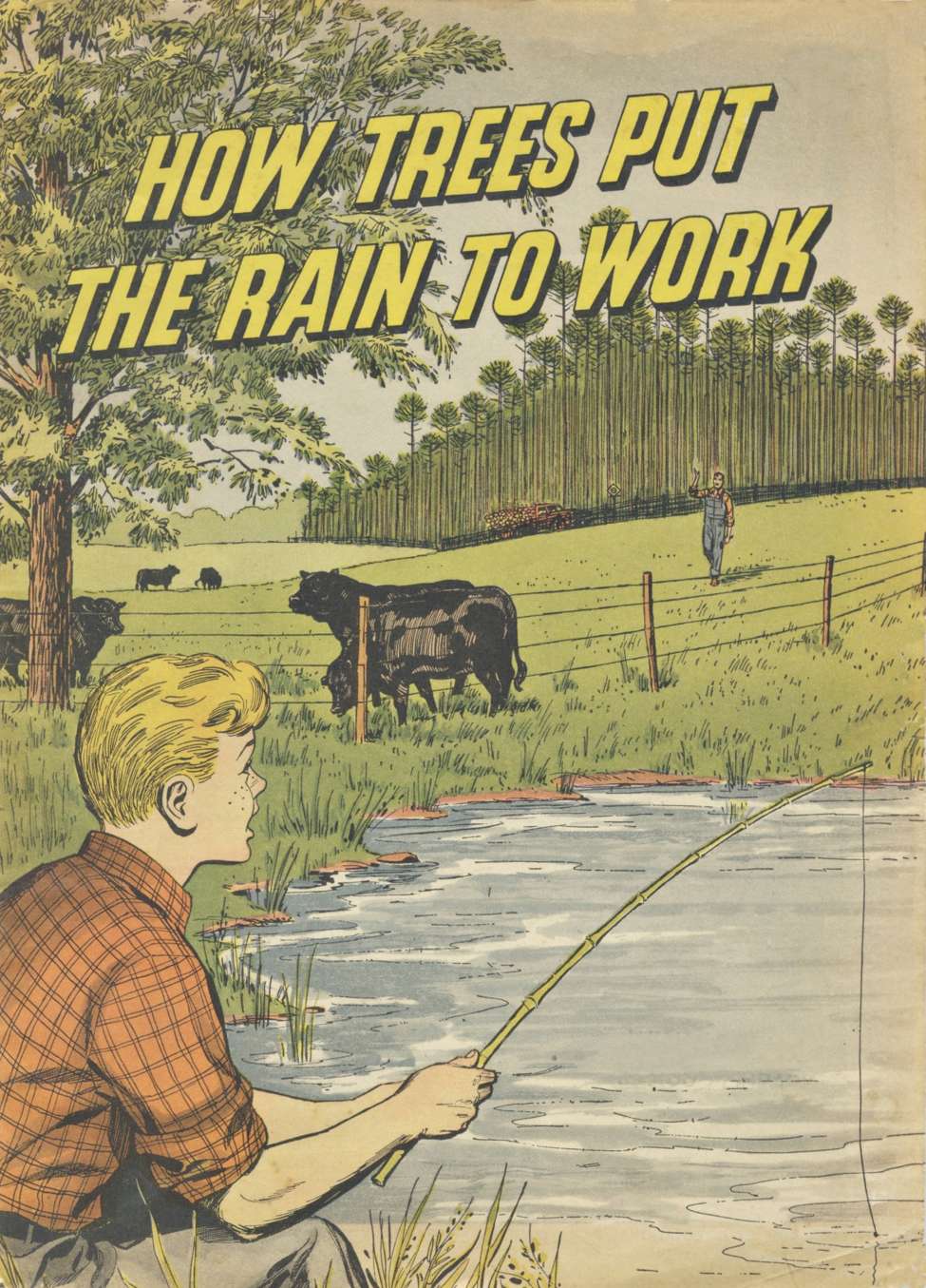 Book Cover For How Trees Put the Rain to Work - International Paper Co - Version 1