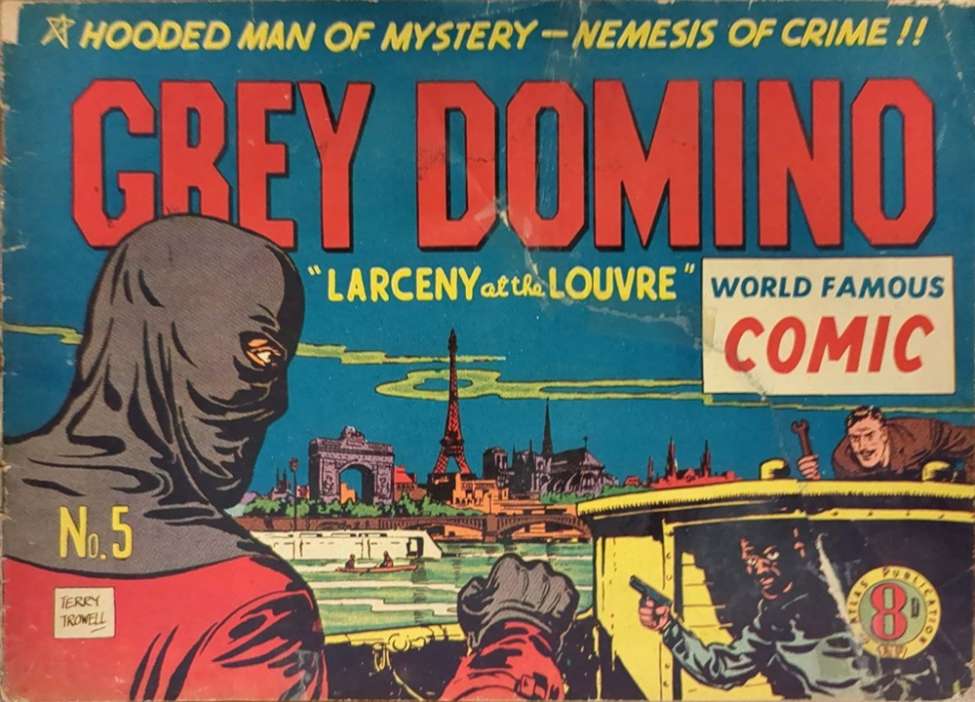 Book Cover For Grey Domino 5