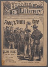 Large Thumbnail For Beadle's Half Dime Library 953 - Paddy's Trump Card