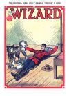 Cover For The Wizard 681