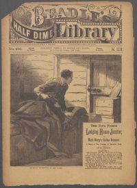 Large Thumbnail For Beadle's Half Dime Library 886 - The Five Points Lodging-House Janitor