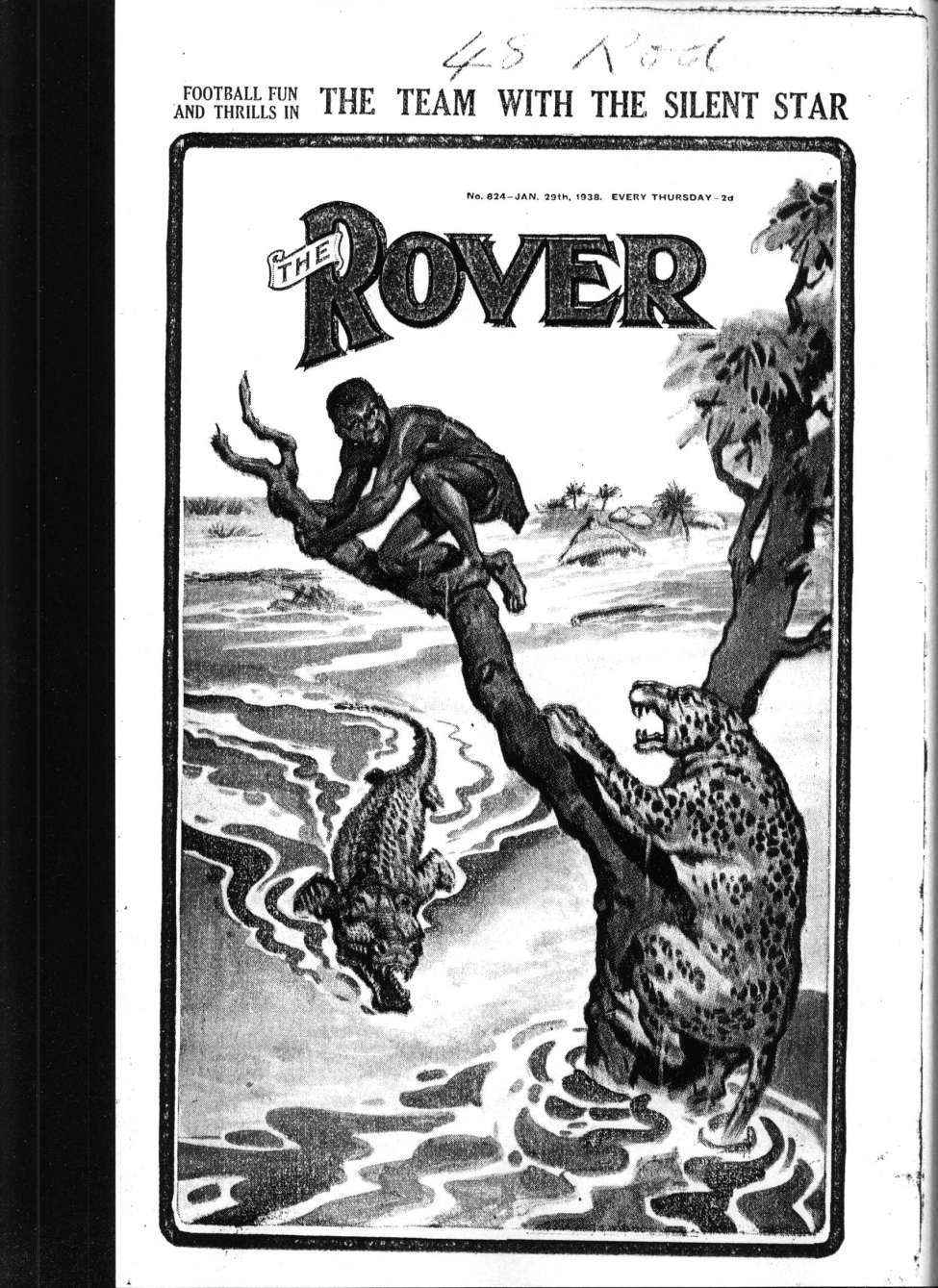 Book Cover For The Rover 824