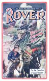 Cover For The Rover 11