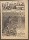 Cover For Beadle's Half Dime Library 595 - Deadwood Dick Jr. in Beelzebub's Basin