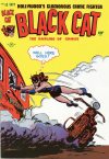 Cover For Black Cat 13