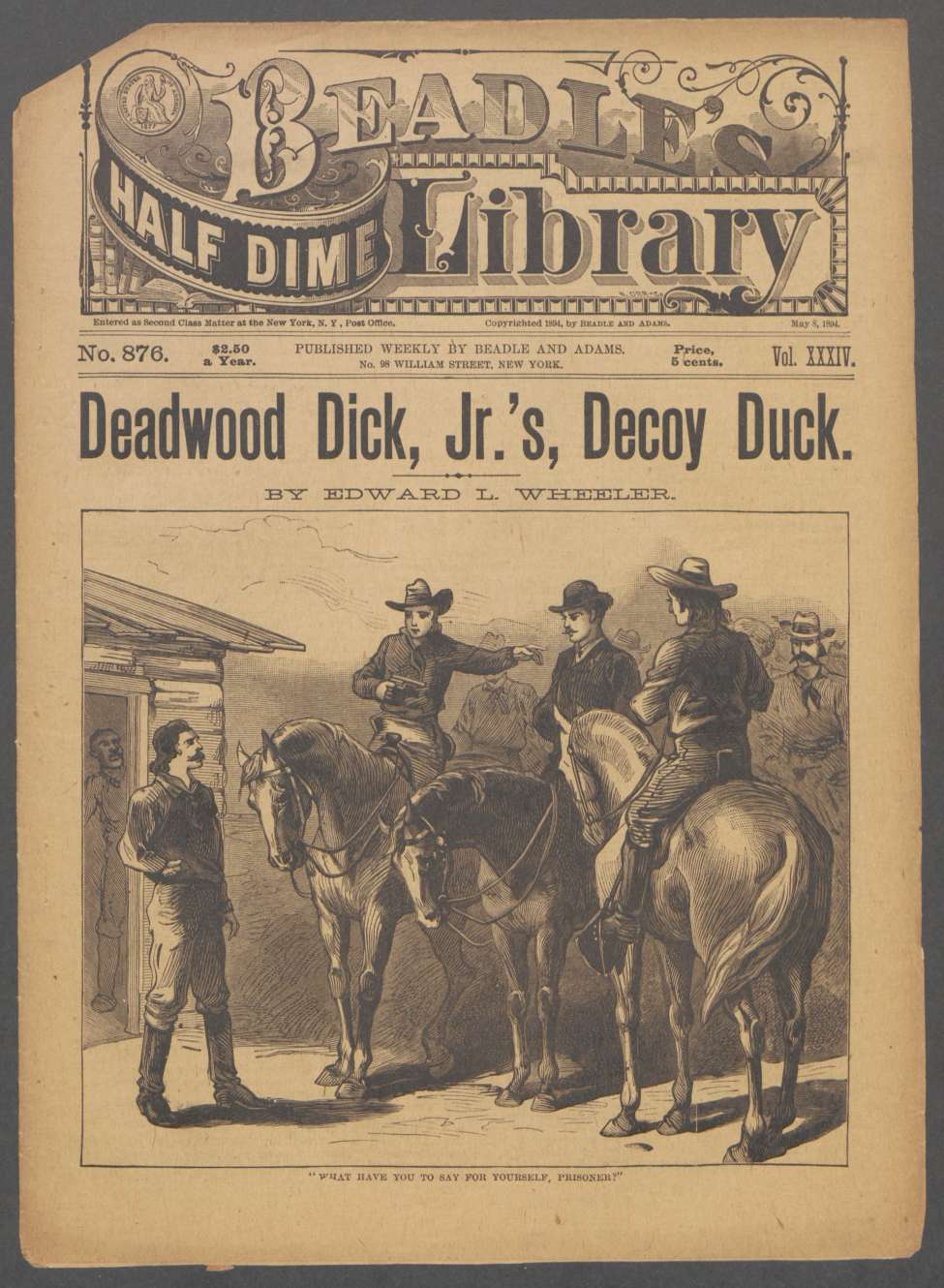 Book Cover For Beadle's Half Dime Library 876 - Deadwood Dick Jr.'s Decoy Duck