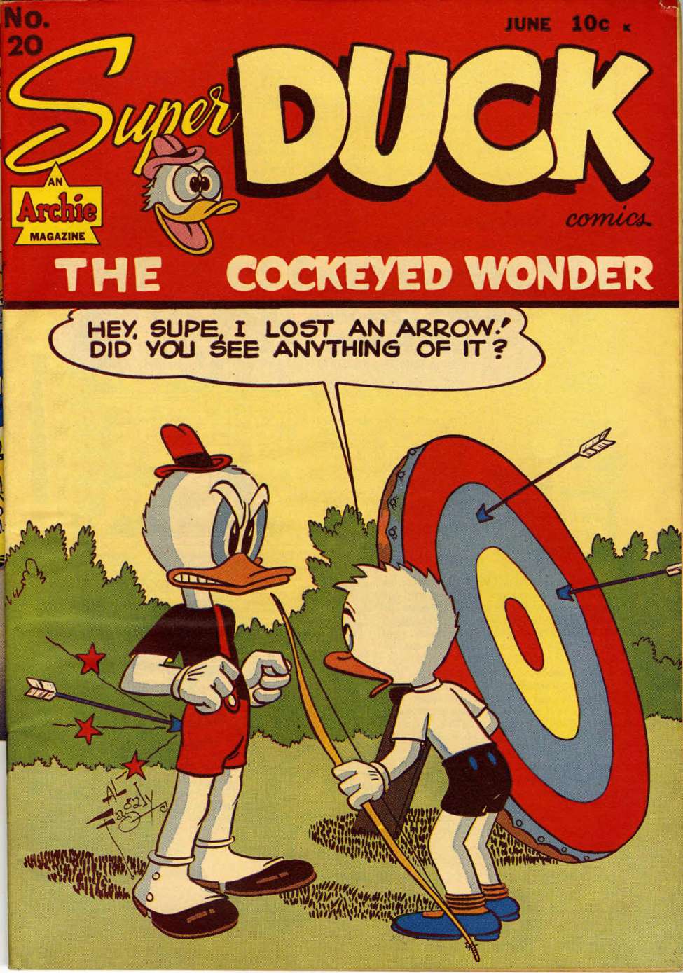 Book Cover For Super Duck 20