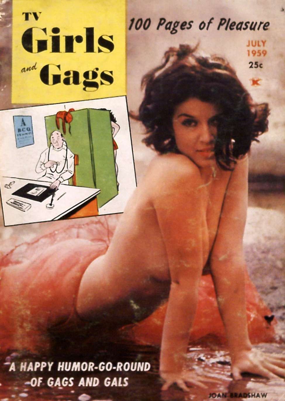 Comic Book Cover For TV Girls and Gags v6 4