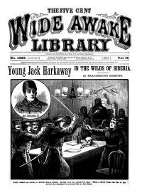 Large Thumbnail For Five Cent Wide Awake Library v2 1322