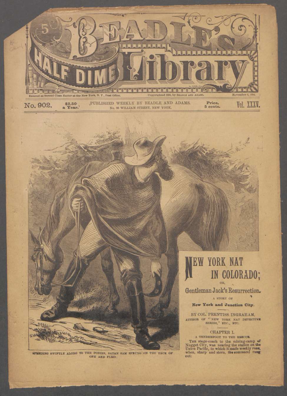 Book Cover For Beadle's Half Dime Library 902 - New York Nat on Colorado