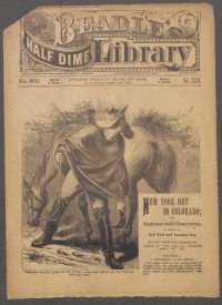 Large Thumbnail For Beadle's Half Dime Library 902 - New York Nat on Colorado