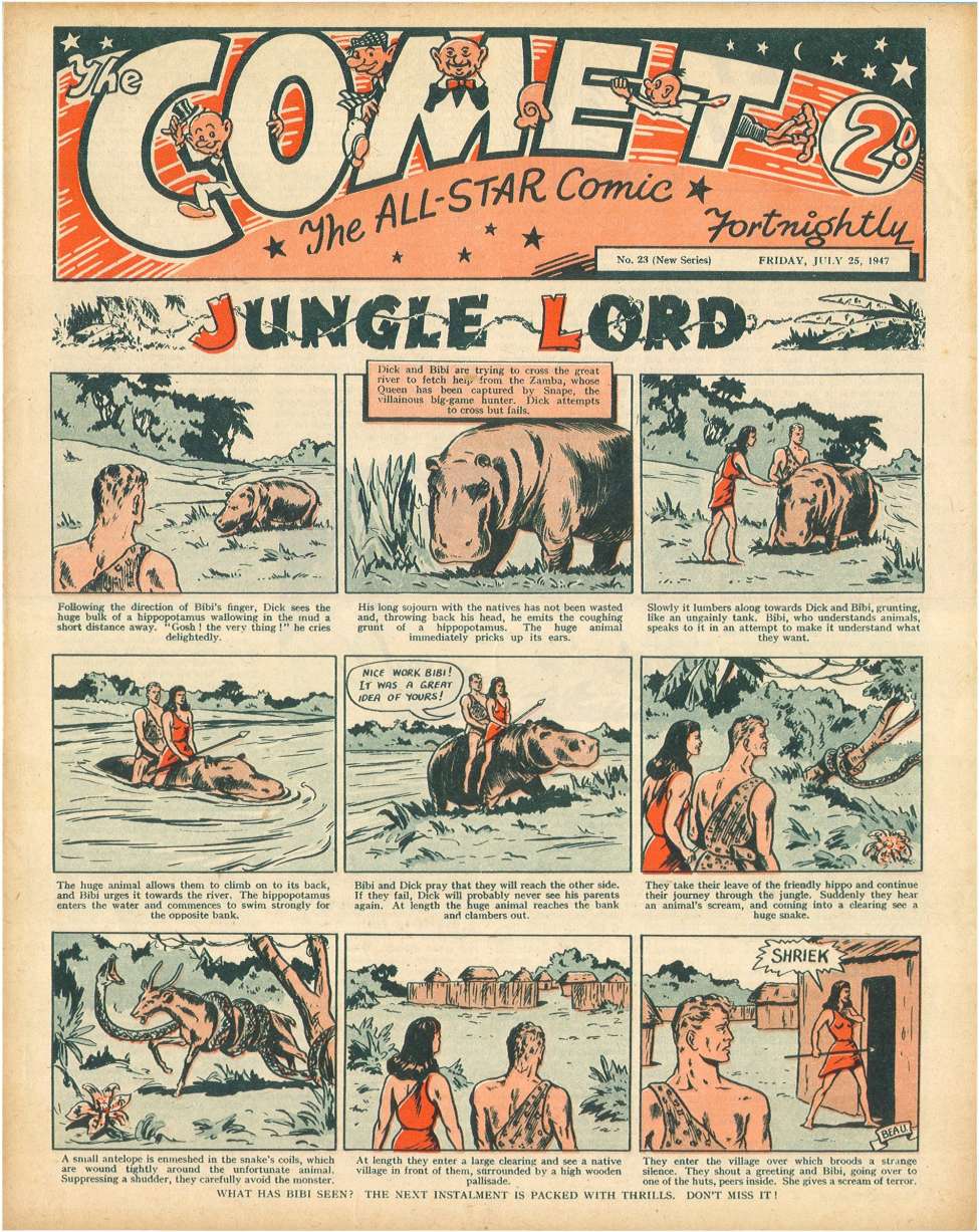 Book Cover For The Comet 23