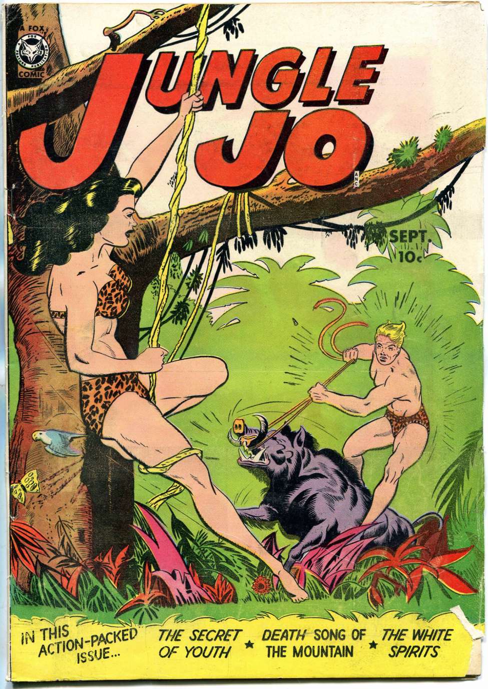 Book Cover For Jungle Jo 3