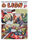 Cover For Lion 112