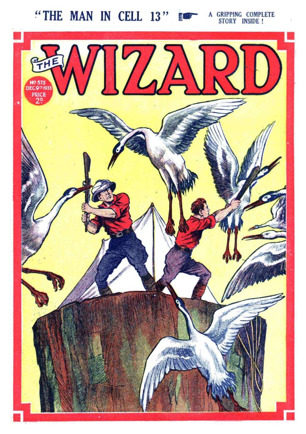 Book Cover For The Wizard 575