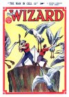 Cover For The Wizard 575