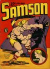 Cover For Samson 3
