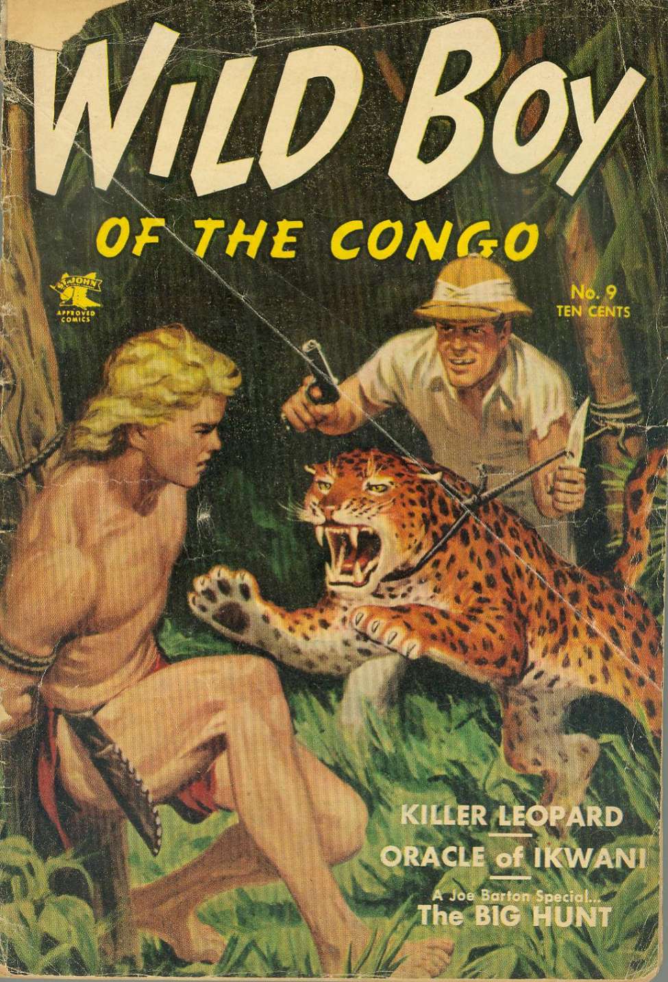 Book Cover For Wild Boy of the Congo 9
