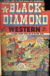 Cover For Black Diamond Western 17