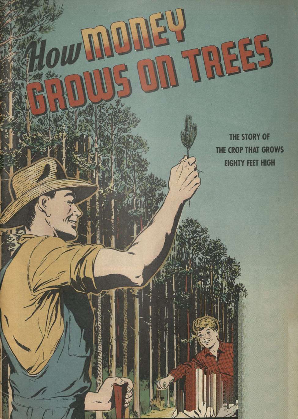 Book Cover For How Money Grows on Trees - International Paper Company