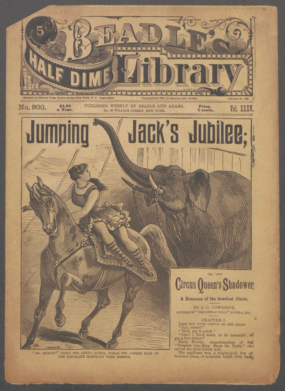 Book Cover For Beadle's Half Dime Library 900 - Jumping Jack's Jubilee